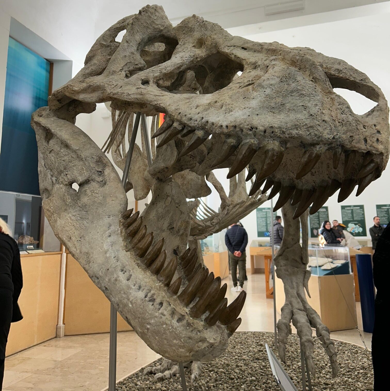 591509793_1455944116536155_6555516074070964728_n